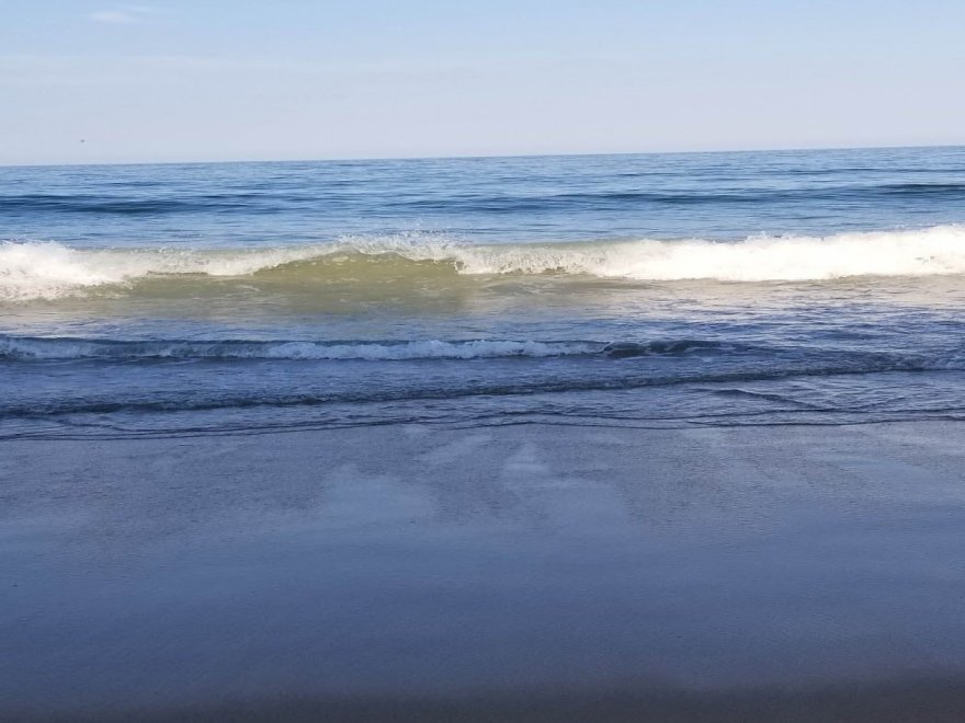 The Jungle Bar & Restaurant