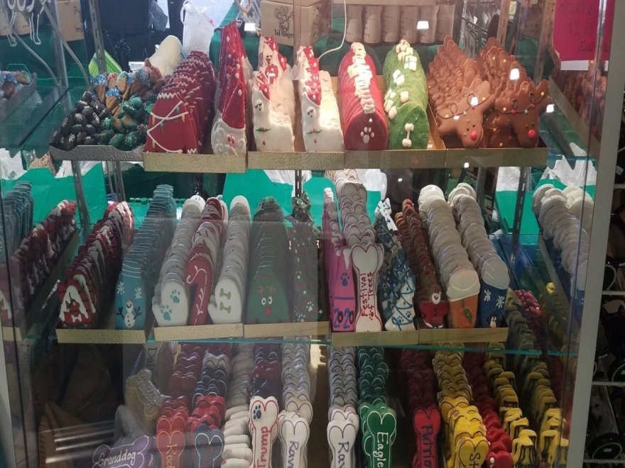 Doggie Style K9 Cafe