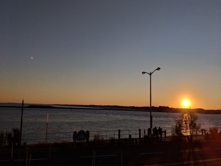 Doggie Style K9 Cafe